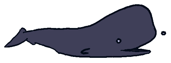 a whale