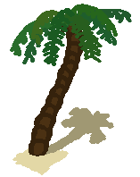 palm tree