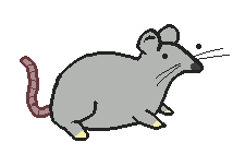 a fat rat