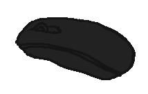 a computer mouse
